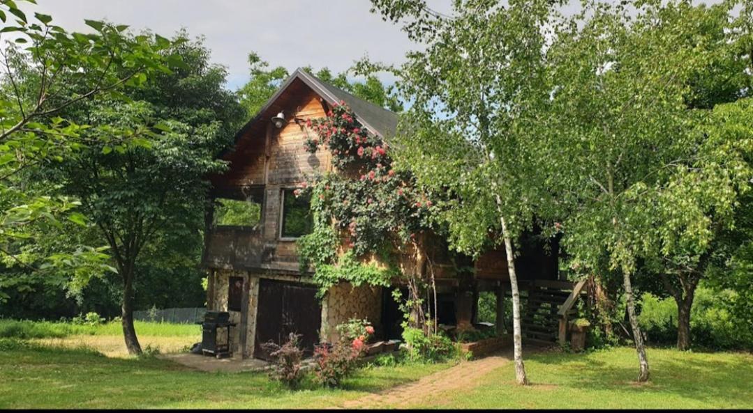 Log Cabin Belgrado Exterior foto