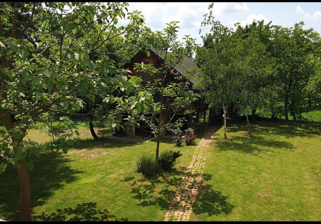 Log Cabin Belgrado Exterior foto