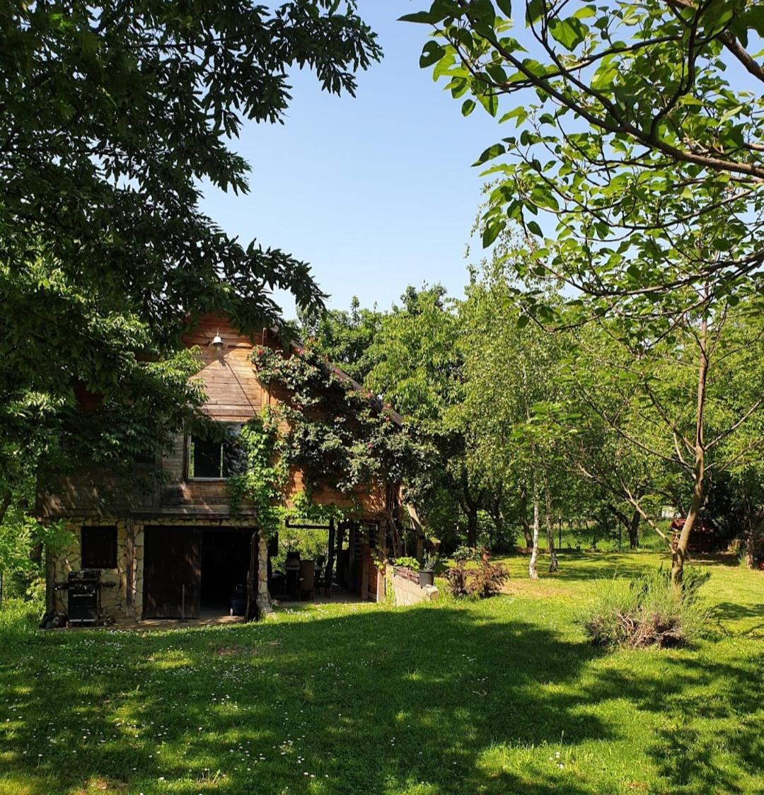 Log Cabin Belgrado Exterior foto